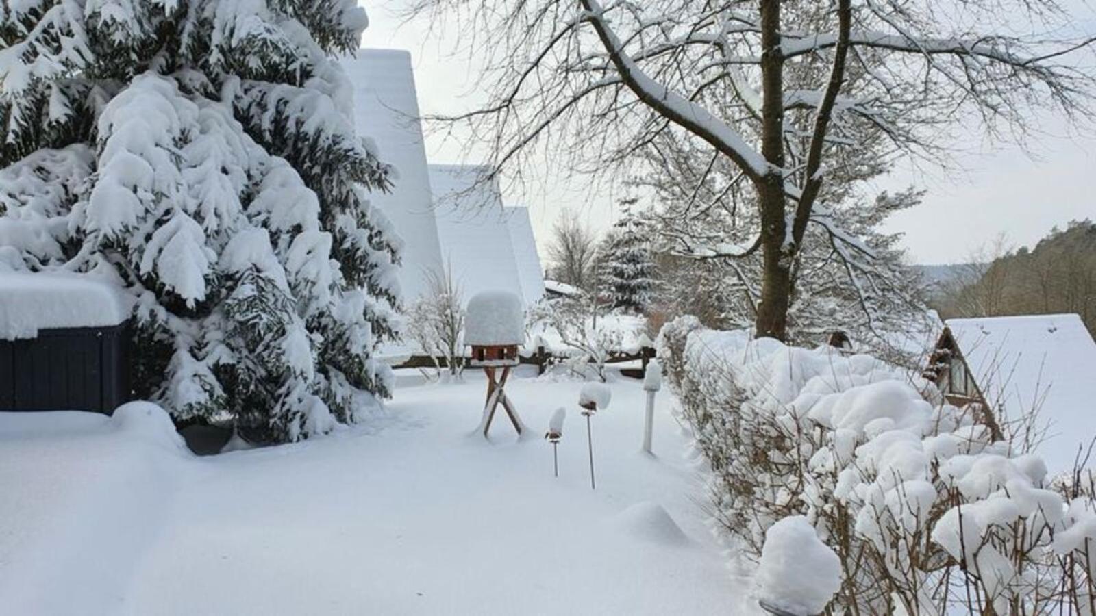 Ferienhaus Am Wald Ronshausen Dış mekan fotoğraf