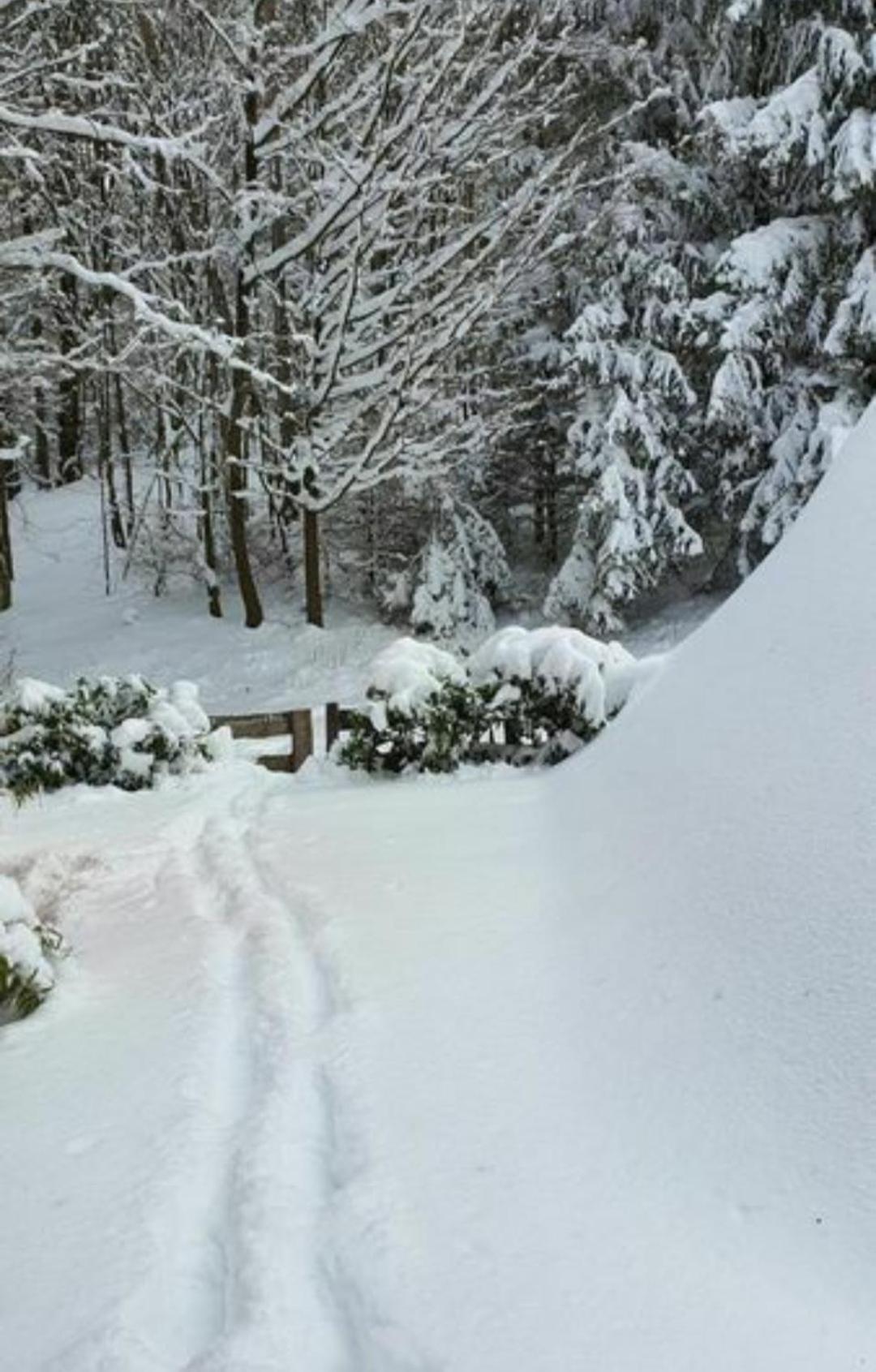 Ferienhaus Am Wald Ronshausen Dış mekan fotoğraf